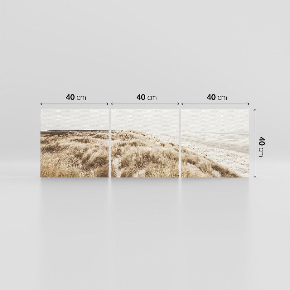 Obraz na płótnie 120x40 - Nadmorskie Wydmy - fotografia, kolory sepii