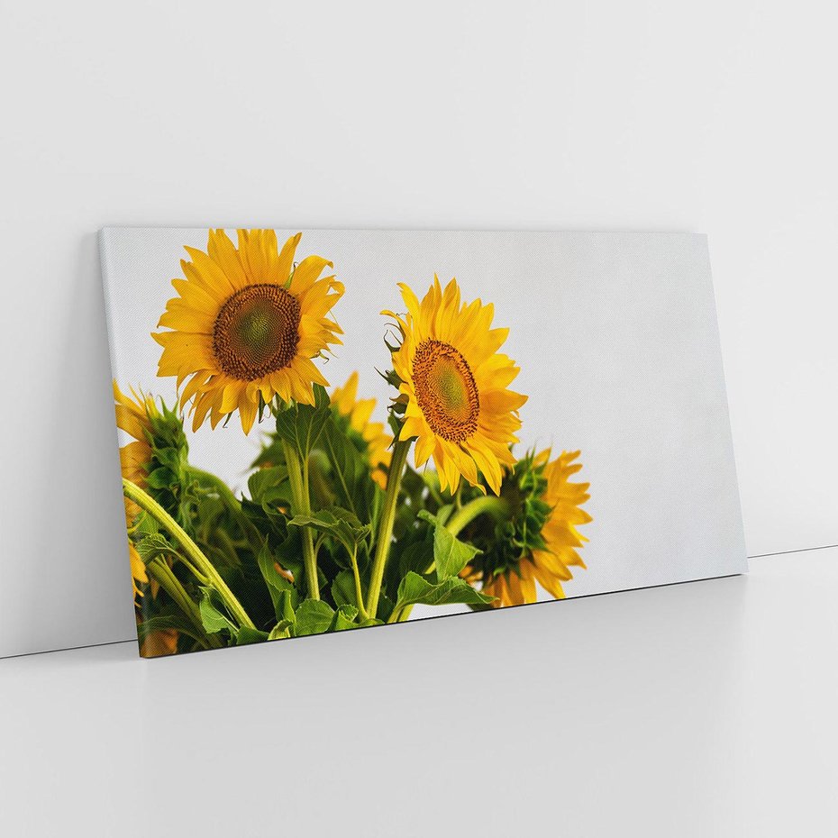 Obraz na płótnie 140x70 - Słoneczna Radość - fotografia, żółte słoneczniki