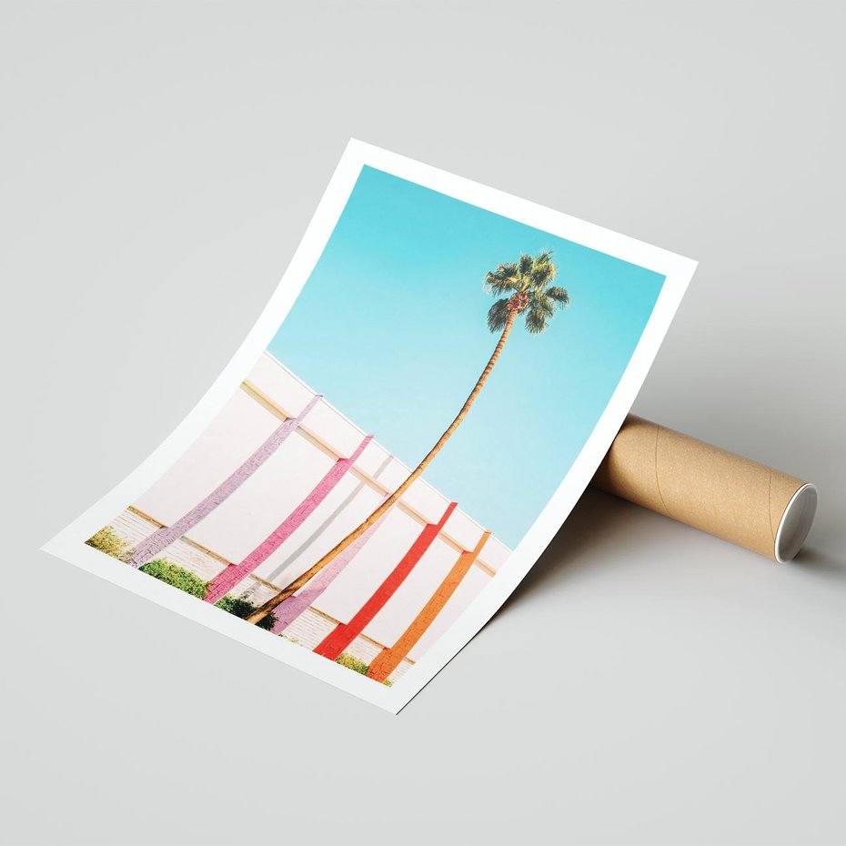 Plakat bez ramy 50x70 - Tropikalny Kontrast - palma na tle błękitnego nieba, kolorowy mur