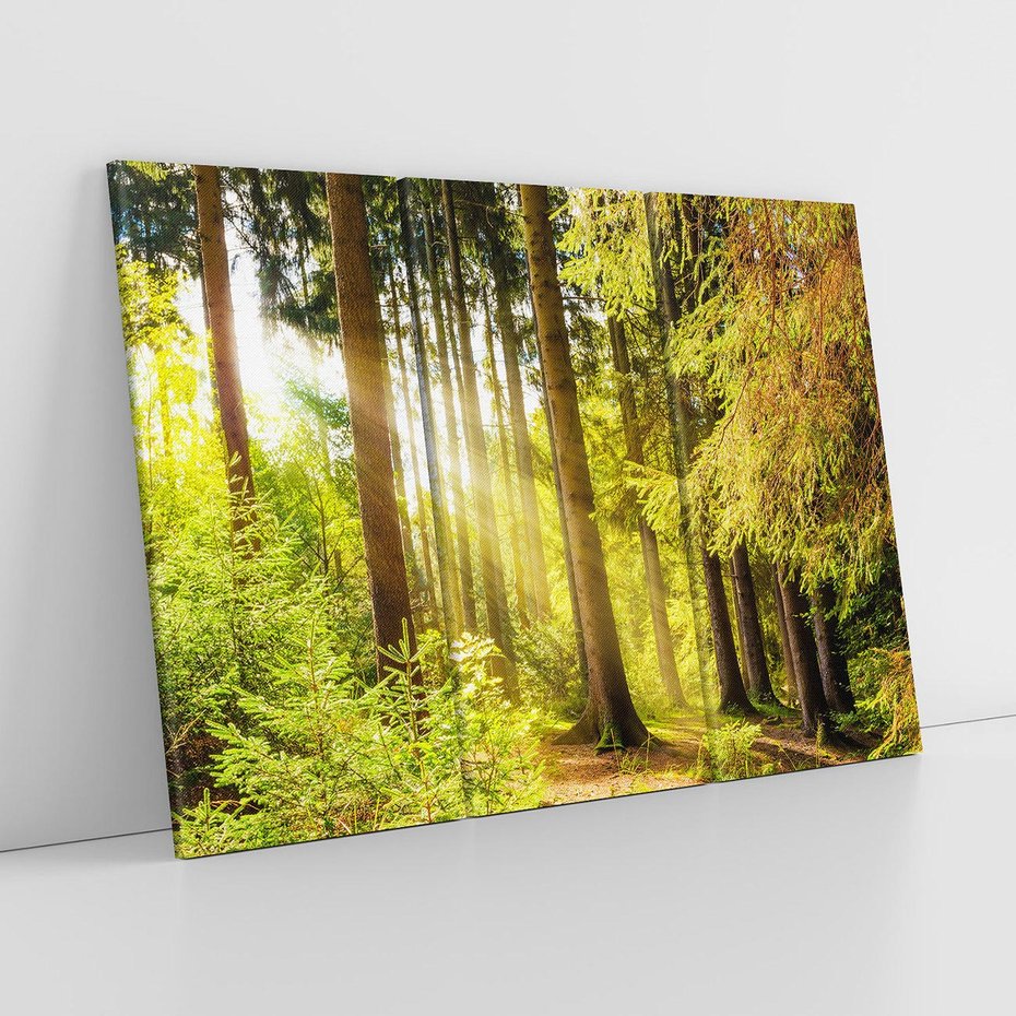 Obraz na płótnie 120x80 - Mistyka lasu - las, drzewa