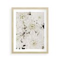 Plakat w ramie 40x50 - Białe Kwiaty: Płatki Delikatności - białe kwiaty, zbliżenie - rama drewno