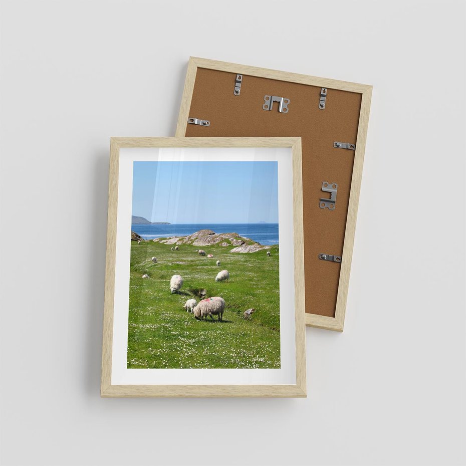 Plakat w ramie 30x40 - Górskie Owce - góry, owce - rama drewno