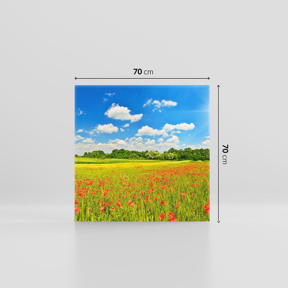 Obraz na płótnie 70x70 - Malownicze maki na łące - maki, łąka