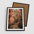 Plakat w ramie 50x70 - Obraz przedstawia jesienne drzewa i czerwone liście na ścieżce w lesie. Ta sceneria doskonale oddaje urok i kolorystykę jesieni w lesie. - las, jesień - rama czarna
