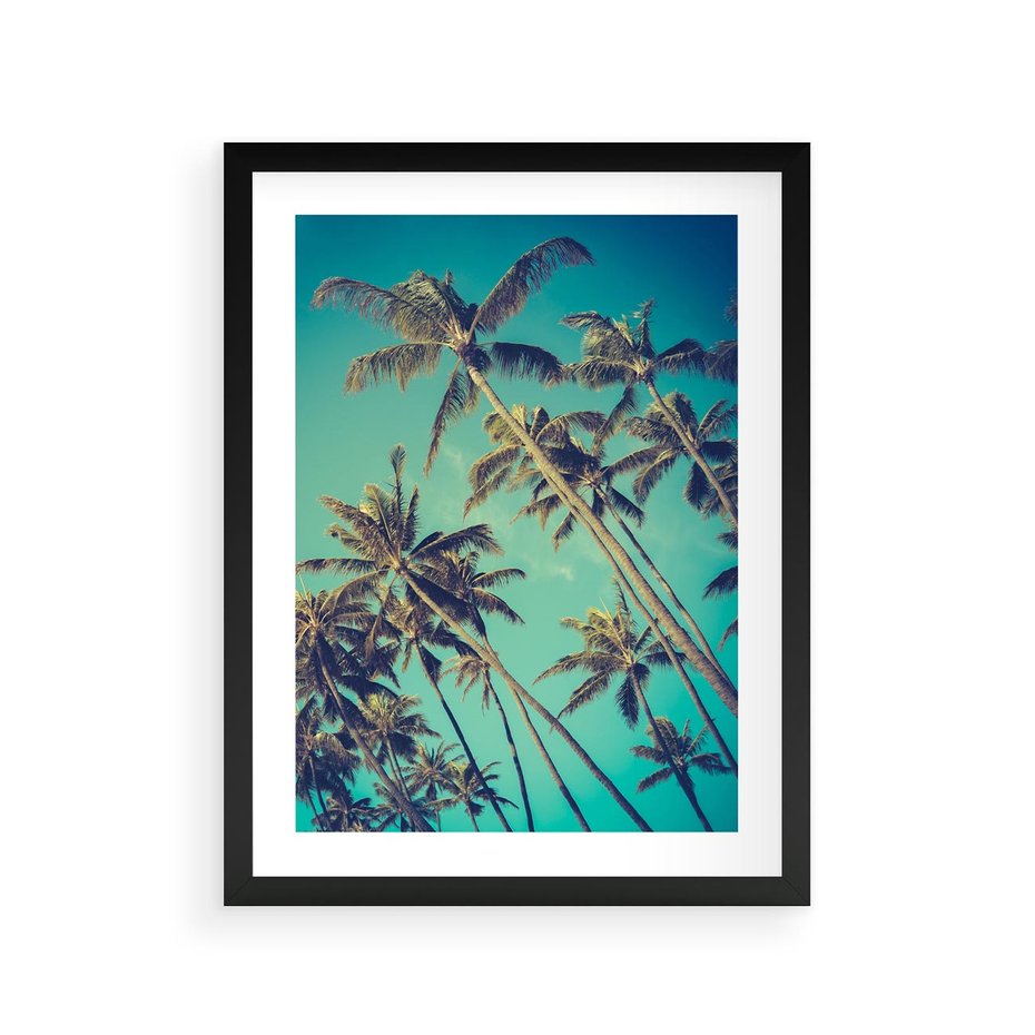 Plakat w ramie 30x40 - Tropikalne palmy w krainie słonecznych wakacji - palmy, tropiki - rama czarna