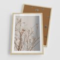 Plakat w ramie 50x70 - Boho gałązki suche - gałązki, suche - rama drewno