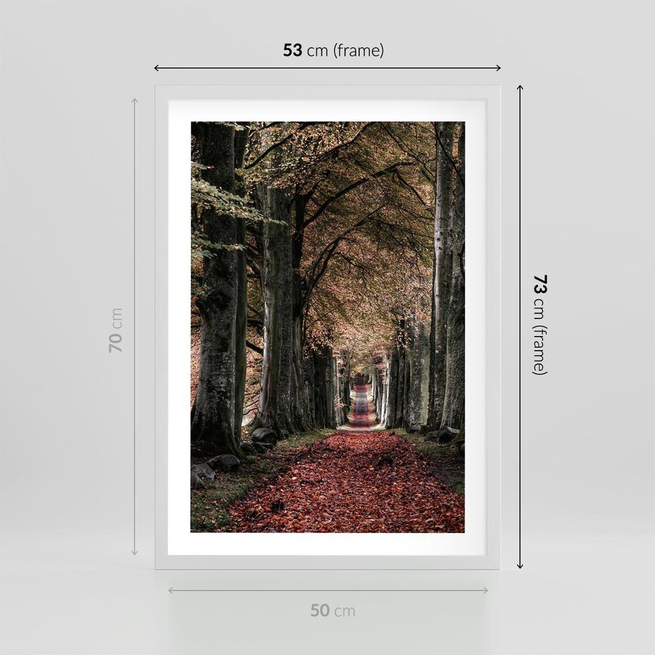 Plakat w ramie 50x70 - Spacer po Leśnej Drodze - ścieżka w lesie, jesień suche liście - rama biała
