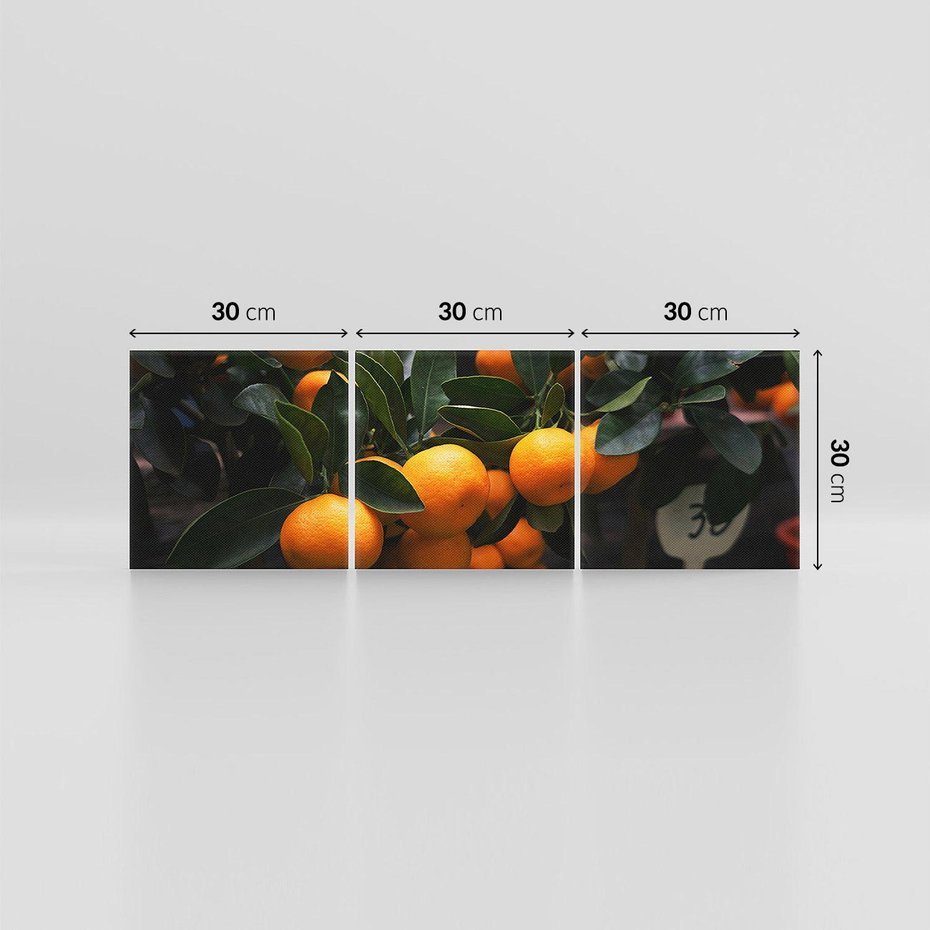 Obraz na płótnie 90x30 - Mandarynki na Drzewku - Owoce Pory Roku - mandarynki, drzewko