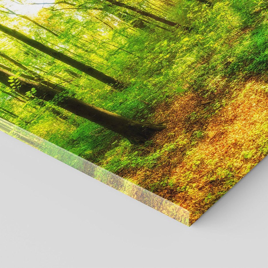 Obraz na płótnie 150x50 - Mistyfikujący las - las, drzewa