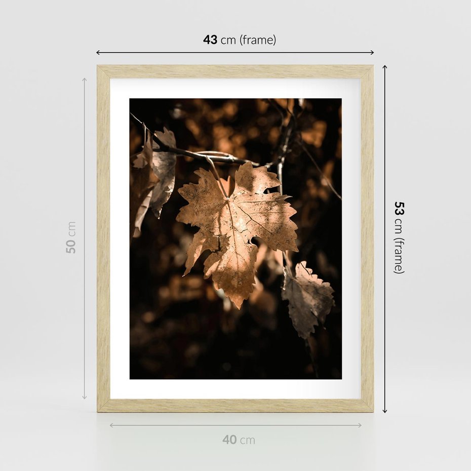Plakat w ramie 40x50 - Uroczy Liść na Drzewie - jesienny liść, żółty liść na drzewie - rama drewno