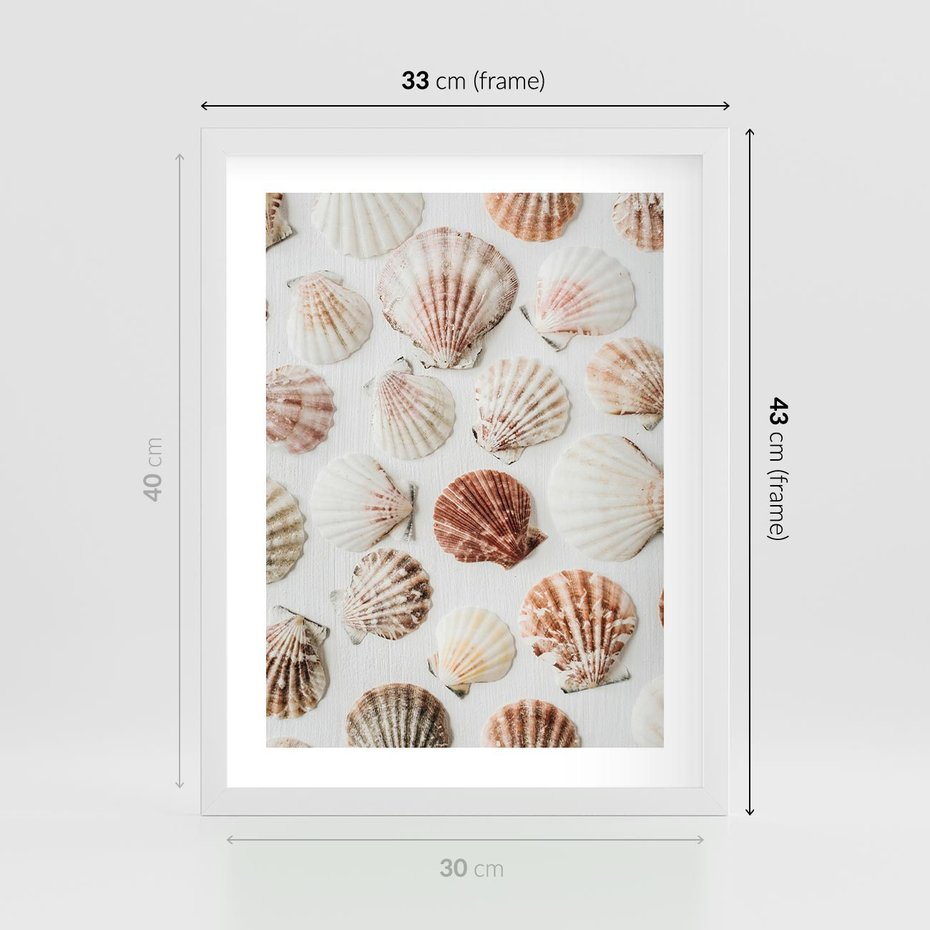 Plakat w ramie 30x40 - Morska Delikatność: Muszelki na Białym Tle - kompozycja, morskie muszelki na białym tle - rama biała
