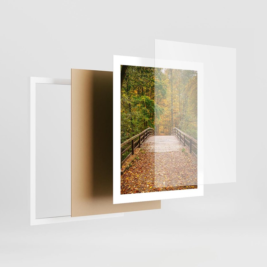 Plakat w ramie 40x50 - Spacer Ścieżką w Las - ścieżka, spacer - rama biała