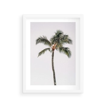 Plakat w ramie 40x50 - Wakacyjne Marzenia - palma na tle nieba - rama biała