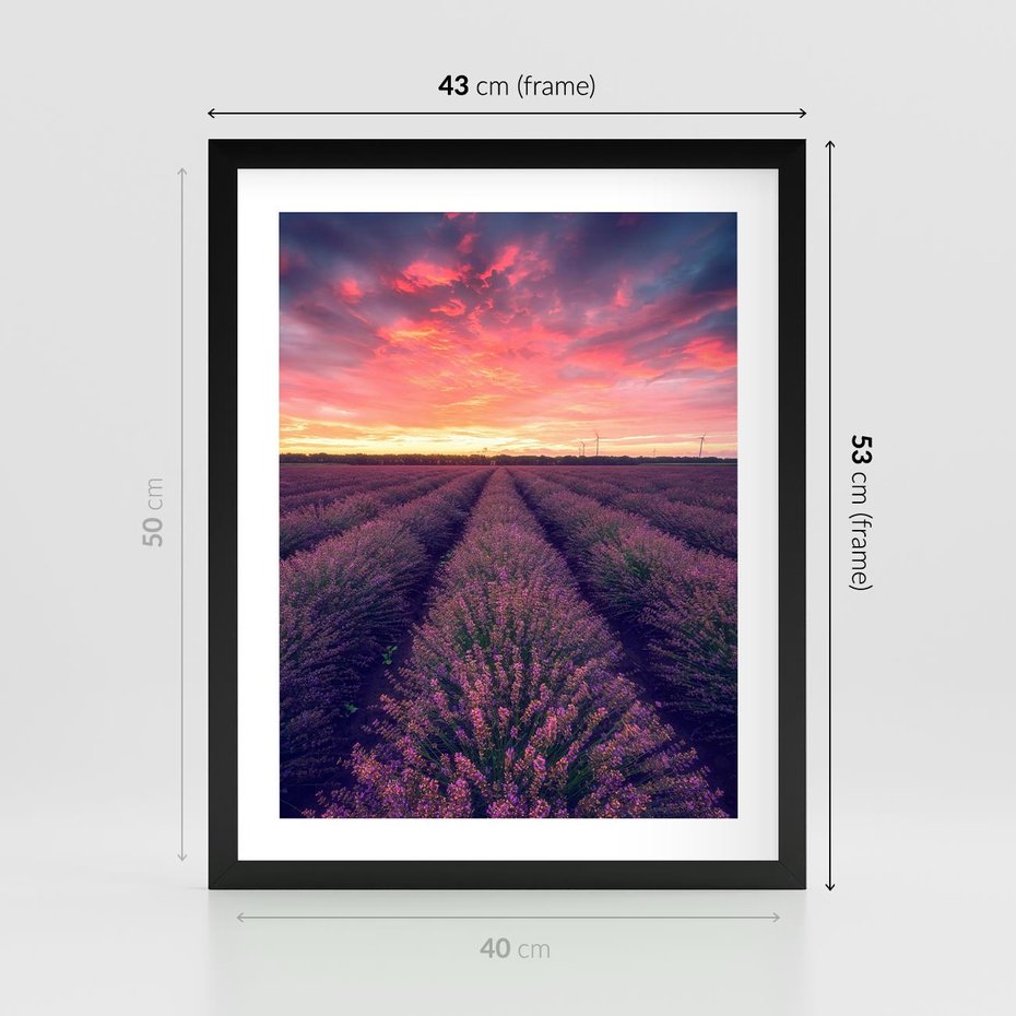 Plakat w ramie 40x50 - Różowe Niebo nad Polami - pola lawendy, zachód słońca - rama czarna