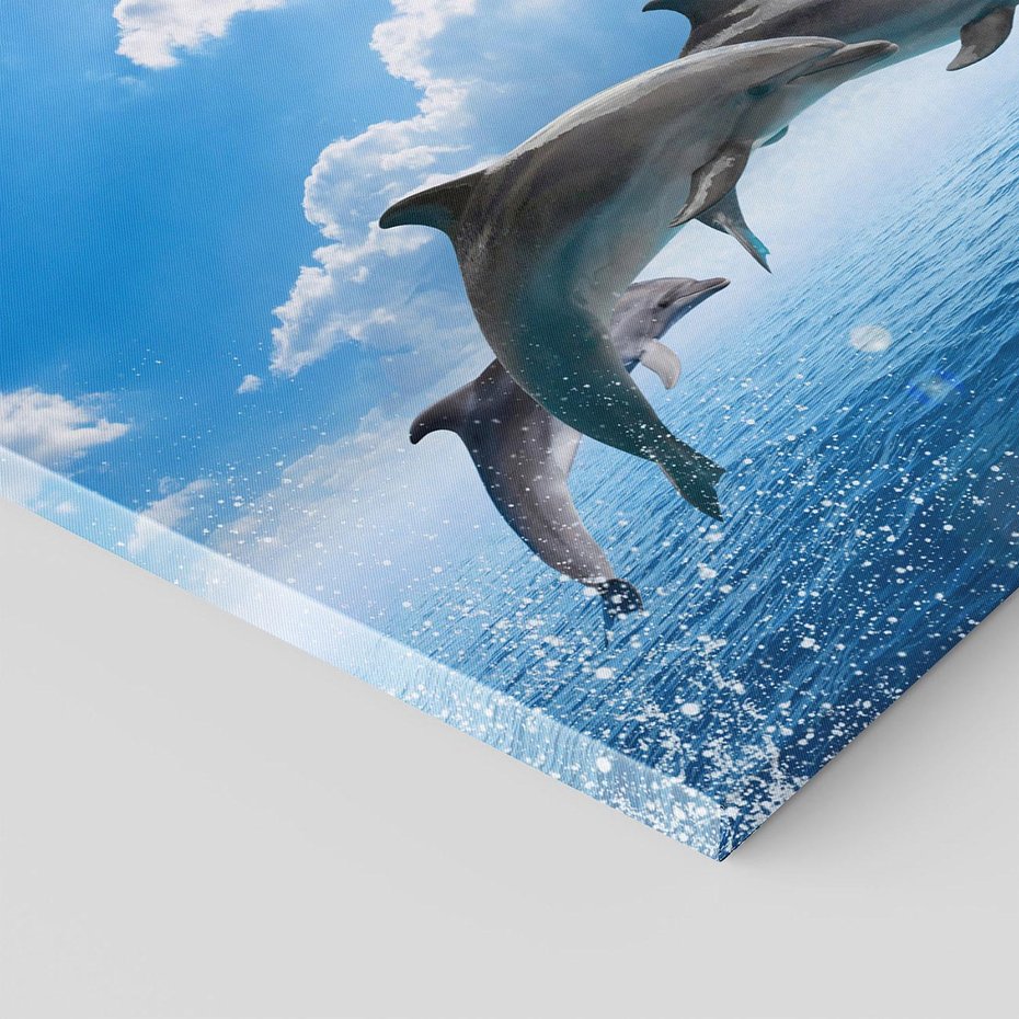 Obraz na płótnie 30x30 - Spotkanie z naturą - morze, delfiny