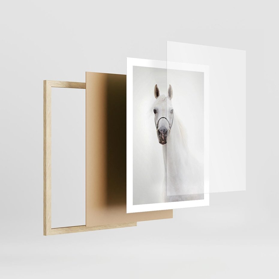 Plakat w ramie 50x70 - Elegancja białego konia - biały, koń - rama drewno