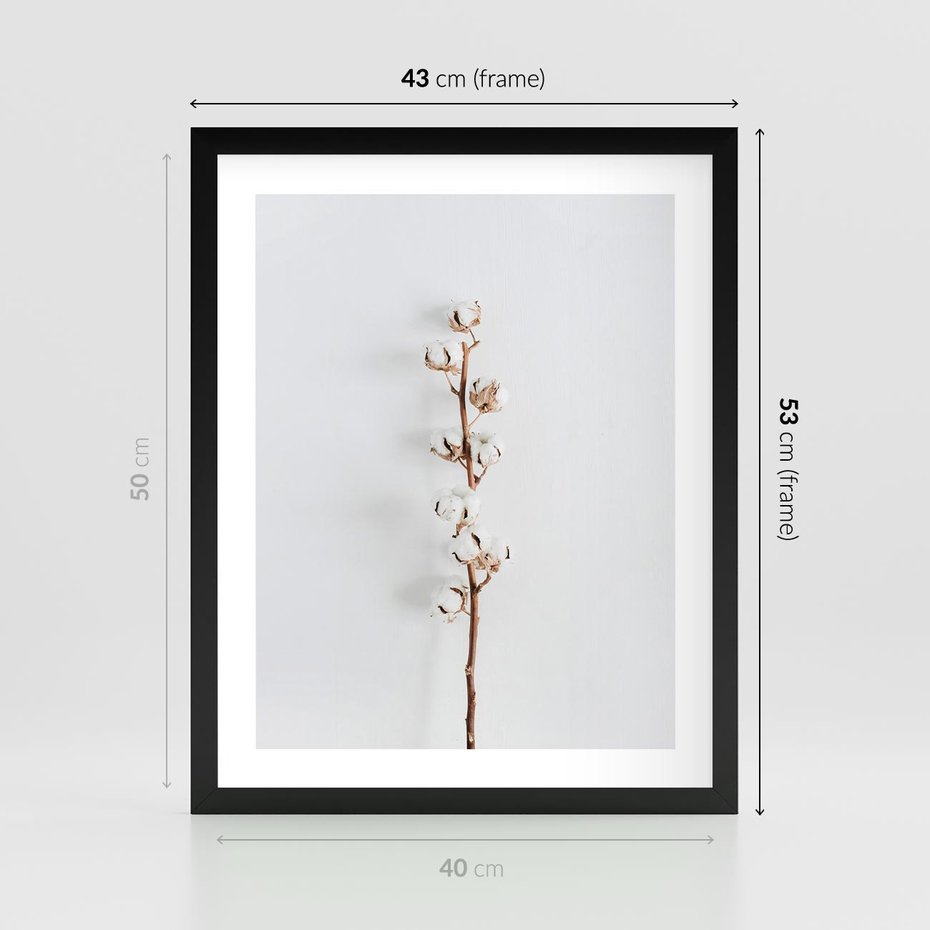 Plakat w ramie 40x50 - Minimalistyczna Gałązka Bawełny - bawełna, gałązka bawełny - rama czarna