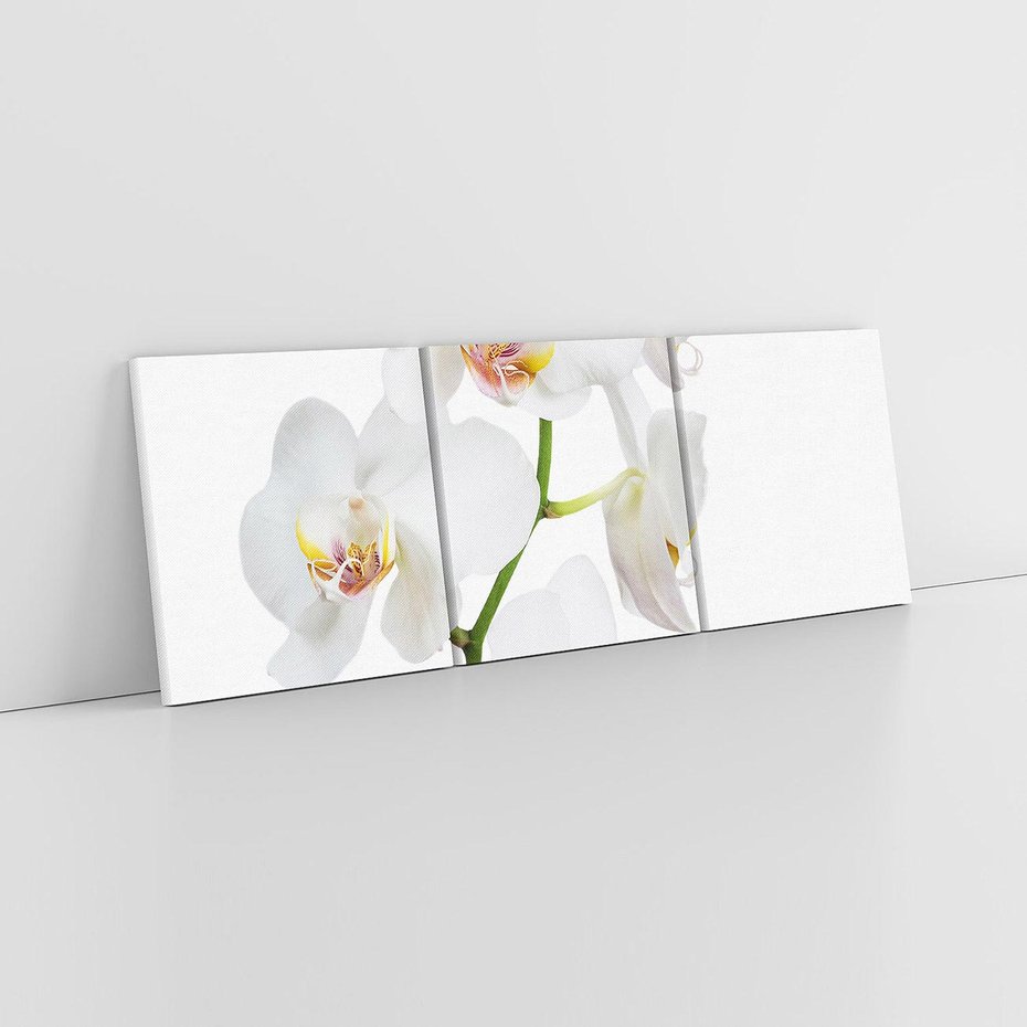 Obraz na płótnie 150x50 - Ekskluzywny Relaks - storczyk, spa