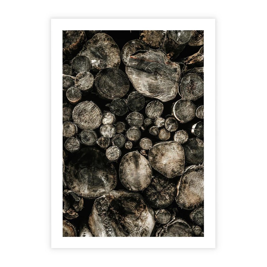 Plakat bez ramy 40x50 - Stos Drewna - kłody drewna, pociete drweno