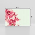 Obraz na płótnie 70x50 - Orchidea - delikatne kwiaty - orchidea, kwiaty
