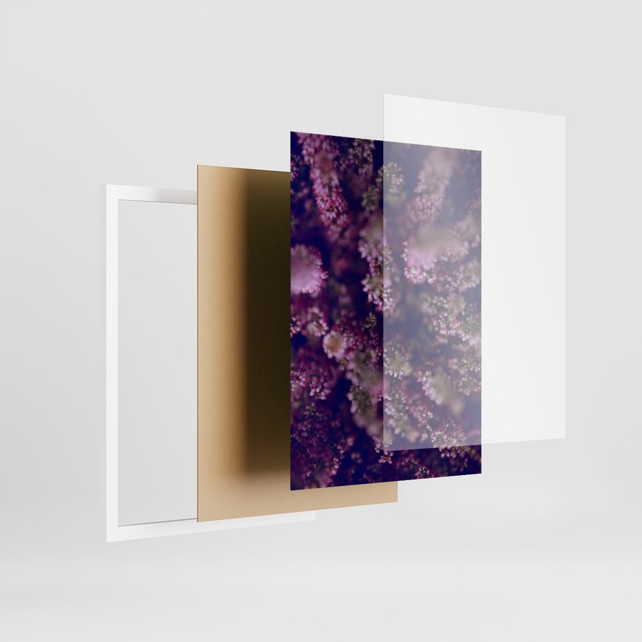 Zestaw obrazy w ramie 40x50 galeria - Wrzosy, lawenda, zachód, słońca - rama biała