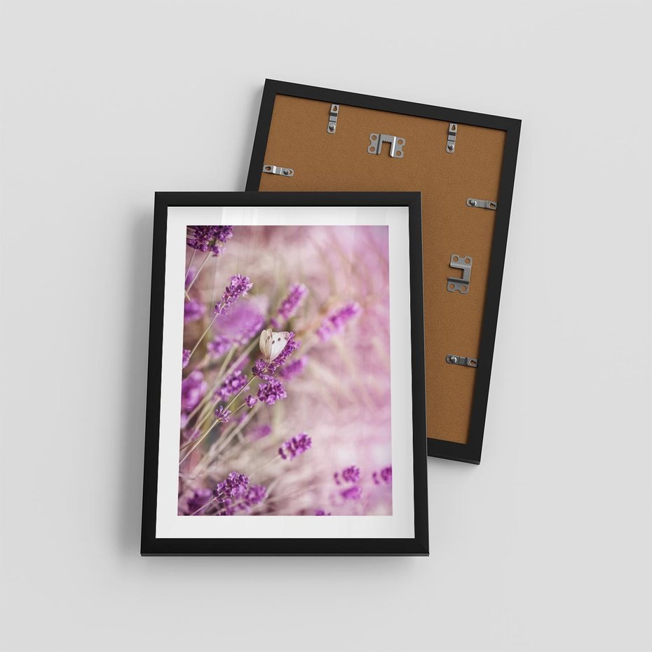 Plakat w ramie 30x40 - Majestat lawendy: fioletowe pola - lawenda, fiolet - rama czarna