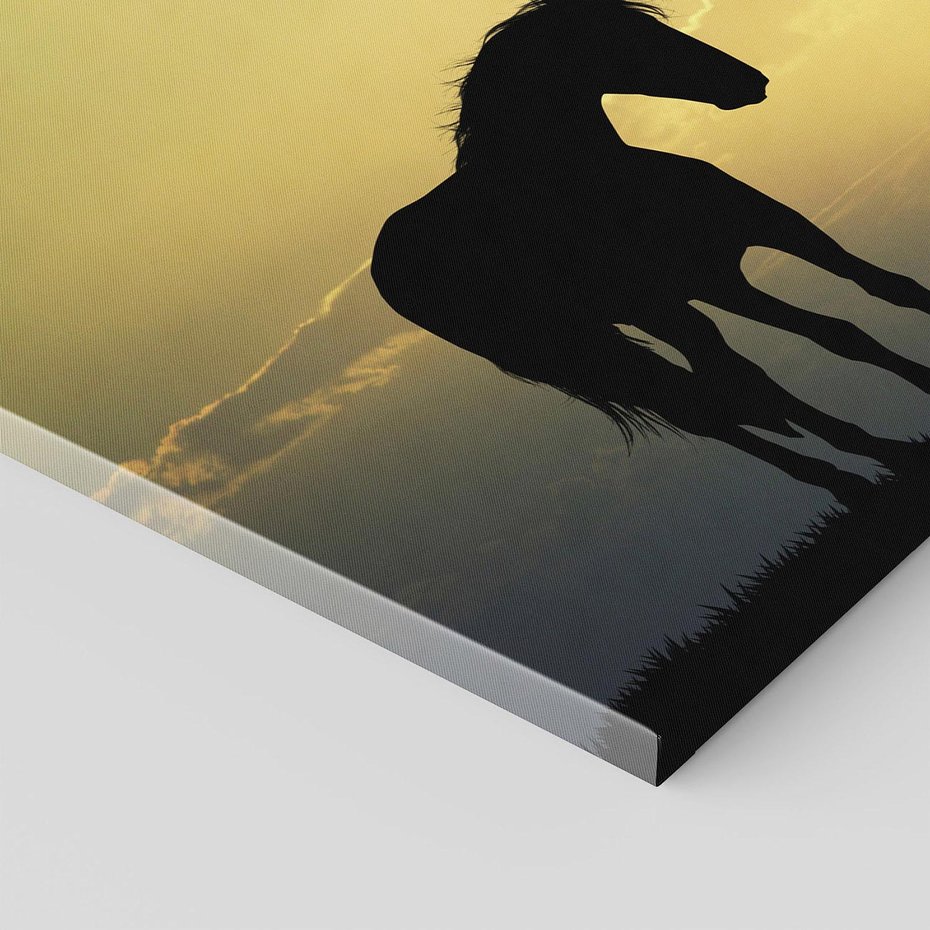 Obraz na płótnie 100x70 - Koń w Zachodnim Świetle - koń, ptaki