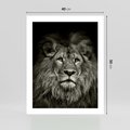 Plakat bez ramy 40x50 - Moc lewego spojrzenia - lew, czarno