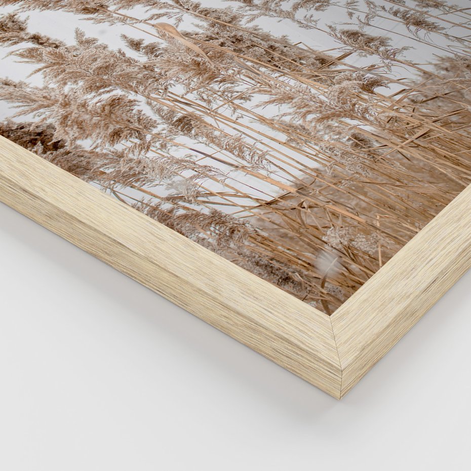 Zestaw obrazy w ramie 40x50 galeria - Trawy, morze, plaża, pampas - rama drewno