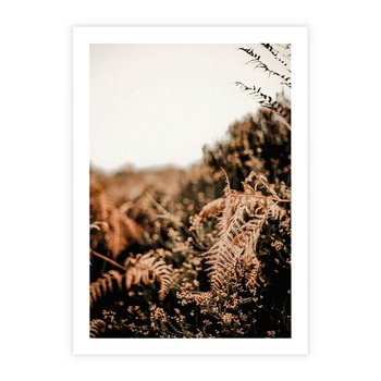 Plakat bez ramy 30x40 - Jesienna Harmonia - suche paprocie, jesienny krajobraz