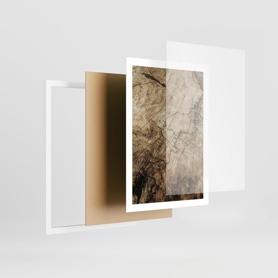 Plakat w ramie 50x70 - Słoje Natury - słoje drzewa, pieńdrzewa - rama biała