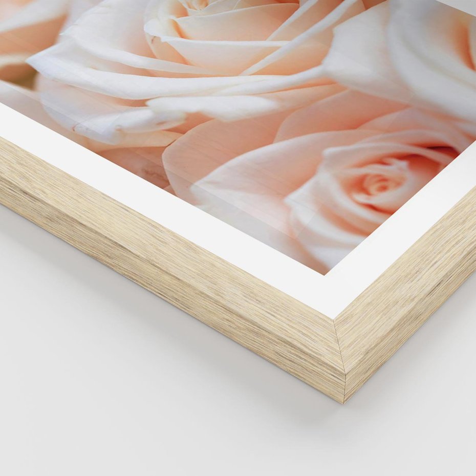 Plakat w ramie 30x40 - Aromatyczna Piękność - płatki herbacianej róży, kwiaty - rama drewno