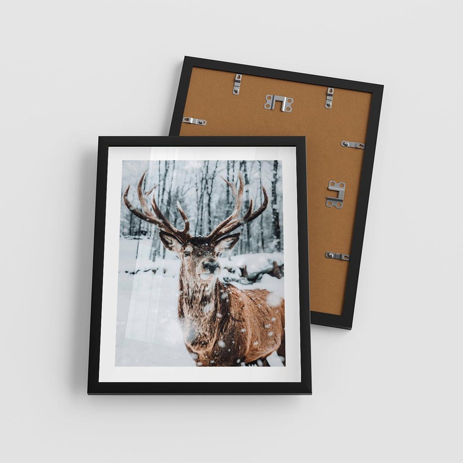 Plakat w ramie 40x50 - Jeleń na Zdjęciu pod Śniegiem - jeleń, zima - rama czarna