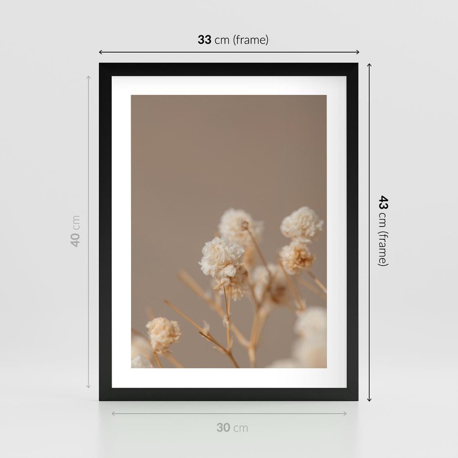 Plakat w ramie 30x40 - Przezroczyste piękno - gipsówka, suche - rama czarna