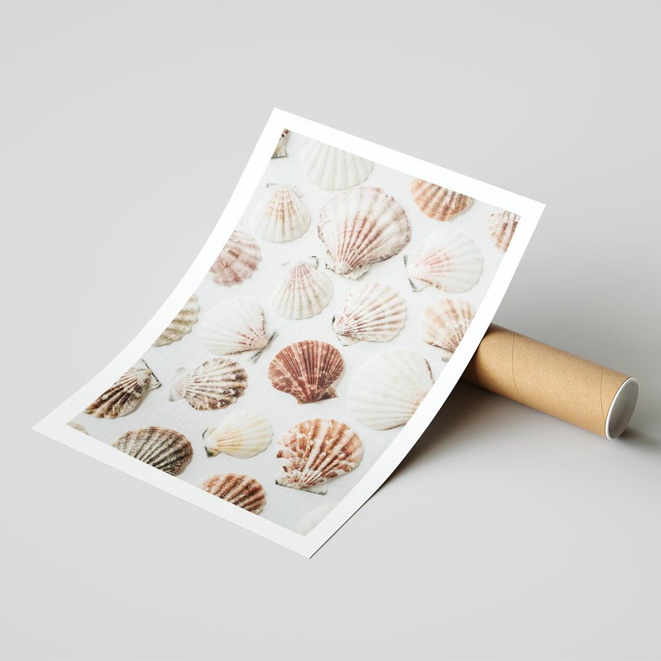 Plakat bez ramy 50x70 - Morska Delikatność: Muszelki na Białym Tle - kompozycja, morskie muszelki na białym tle