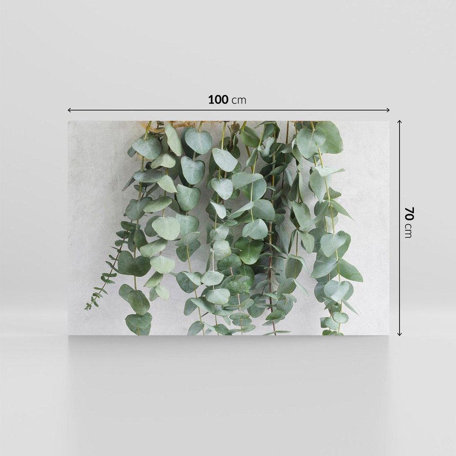 Obraz na płótnie 100x70 - Uwodzicielska zieleń eukaliptusa - eukaliptus, zielone