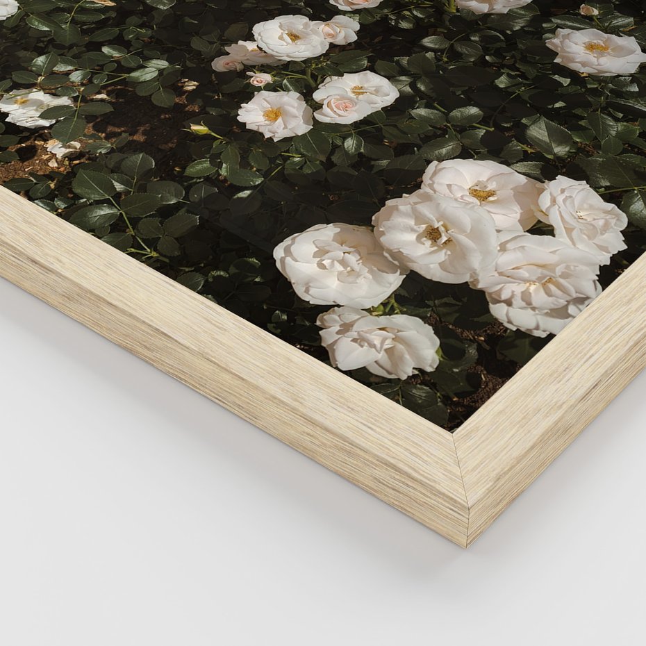 Zestaw obrazy w ramie 30x40 galeria - Boho, kwiaty, suche, trawy - rama drewno