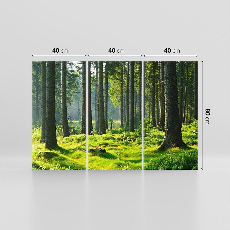 Obraz na płótnie 120x80 - Idylliczny las - las, drzewa