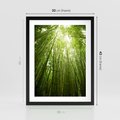 Plakat w ramie 30x40 - Siła Natury - drzewa, las - rama czarna