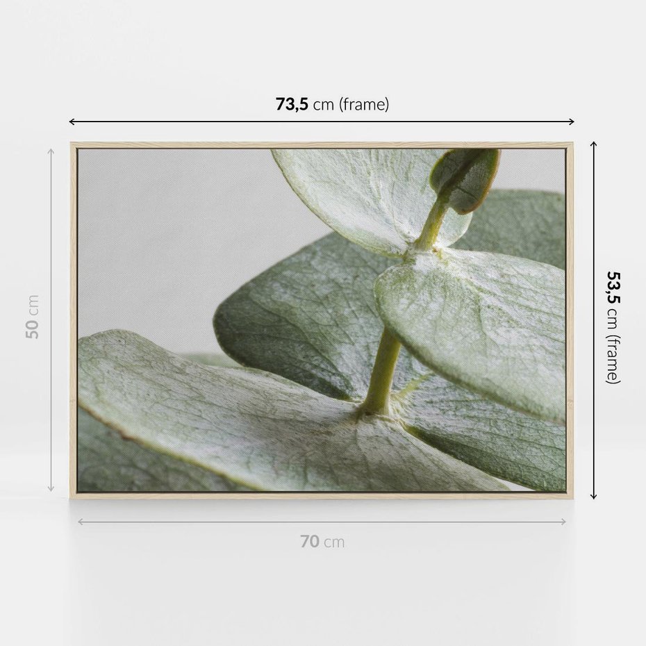Obraz w ramie 70x50 - Eukaliptusowa zieleń - eukaliptus, zielone - rama drewno