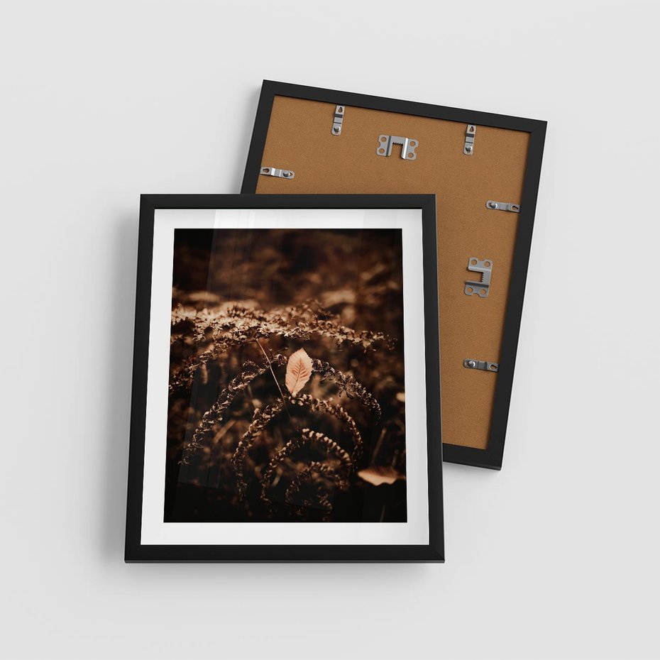 Plakat w ramie 40x50 - Gałęzie i Liść w Brązowej Tonacji - suche gałęzie, liść - rama czarna