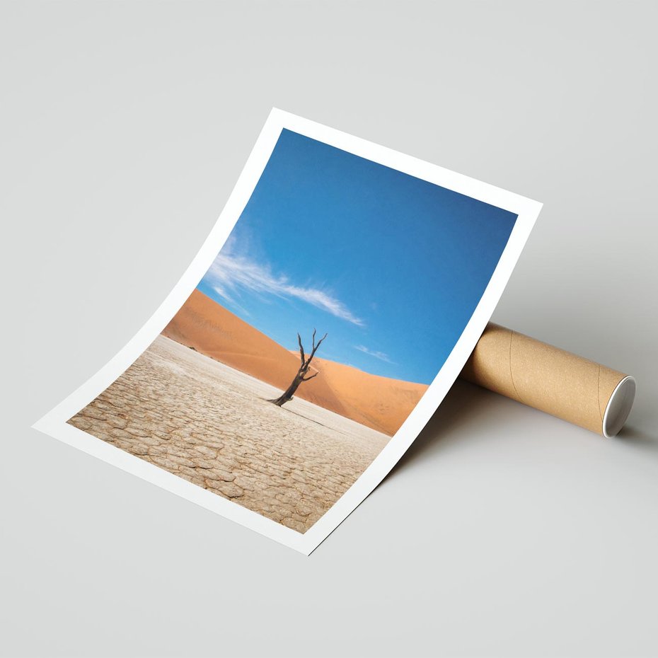 Plakat bez ramy 21x30 - Słońce i Suche Drzewo - pustynia, suche