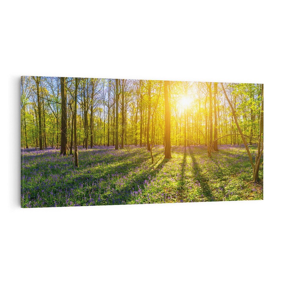 Obraz na płótnie 120x60 - Uroda lasu: harmonia drzew - las, drzewa