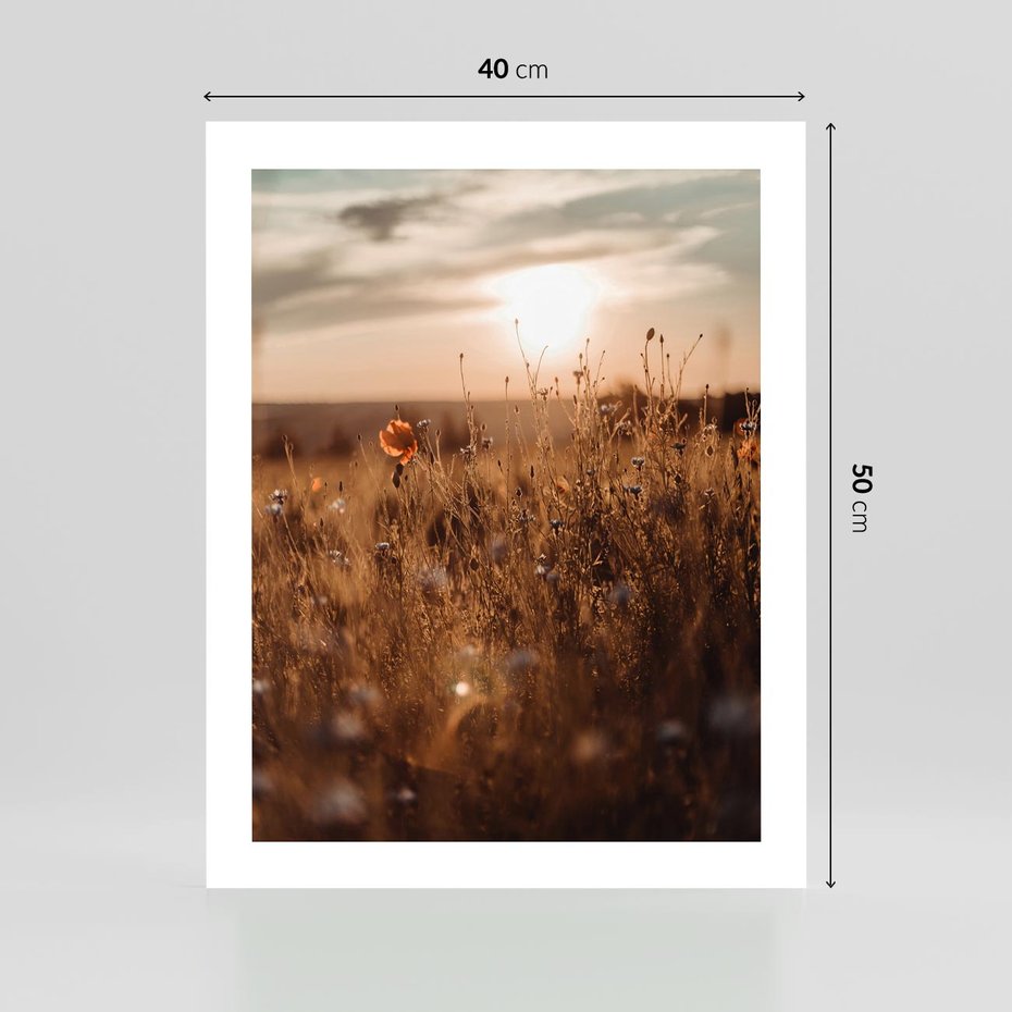 Plakat bez ramy 40x50 - Zachwyt zachodem słońca na łące - zachód, słońca