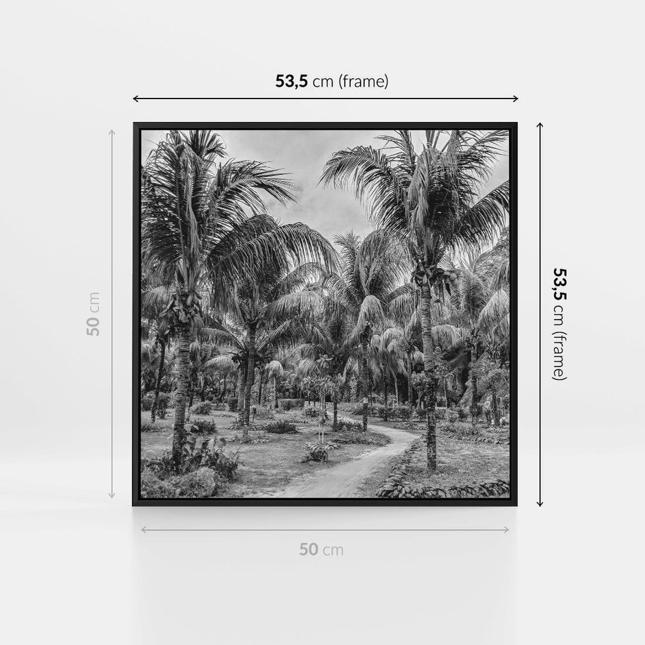 Obraz w ramie 50x50 - Mroczna Ścieżka Tropików - czarno biała fotografia, ścieżka pośród palm - rama czarna