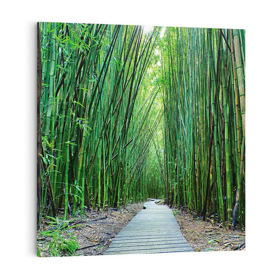 Obraz na płótnie 70x70 - Spacer wśród lasu - ścieżka, las