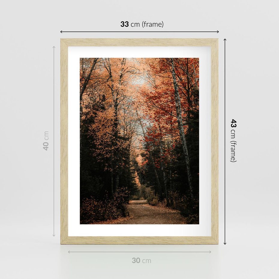 Plakat w ramie 30x40 - Drzewa w Czerwonych Liściach - las, jesienny las - rama drewno