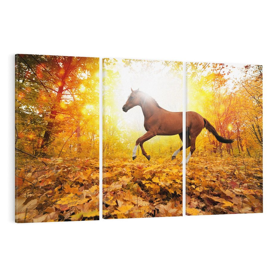 Obraz na płótnie 120x80 - Moc konia w zachodzie słońca - koń, słońce