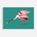 Obraz w ramie 70x50 - Różowy Ptak Wyobraźni - różowy ptak, wyobraźnia - rama biała