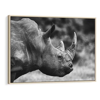 Obraz w ramie 100x70 - Potęga Afryki - czarno biała fotografia, zbliżenie na postać nosorożca - rama drewno